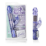 Jack Rabbit Purple W-p