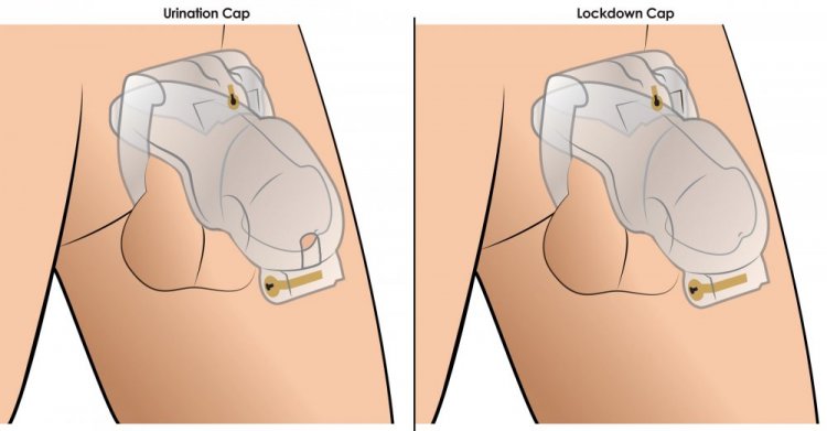 Master Series Custome Lockdown Chastity Cage Clear