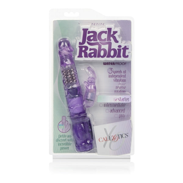Petite Jack Rabbit Purple