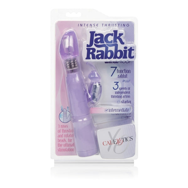 Intense Thrusting Jack Rabbit Purple