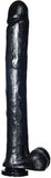 Exxxtreme Dong W-suction Black 16in